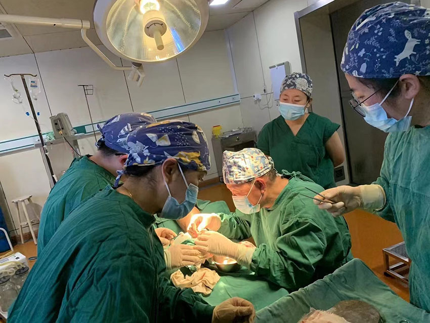 尊龙凯时·(中国区)人生就是搏!